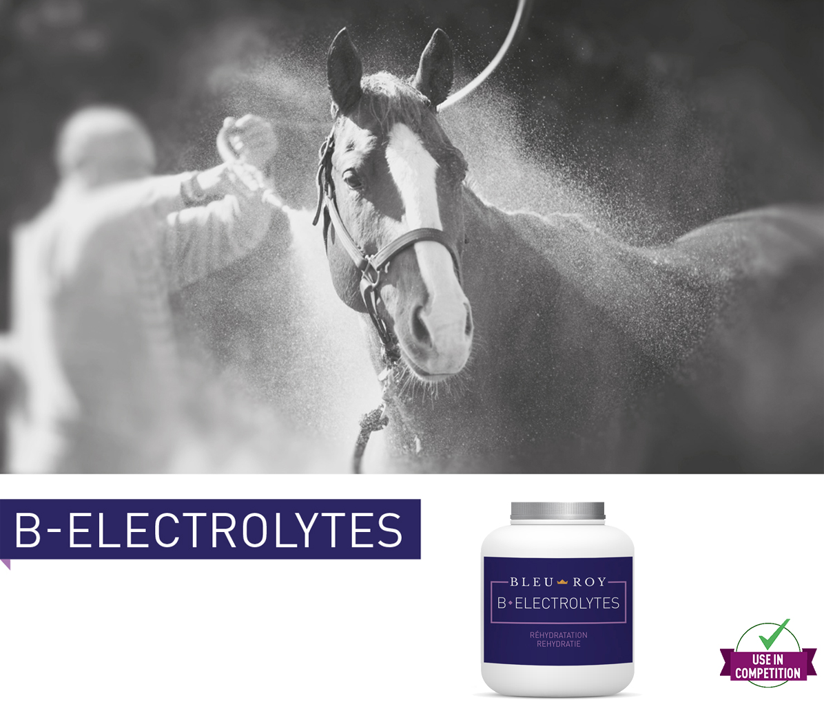 Bleu Roy - B-Electrolytes - Réhydratation - Muscles & Récupération Cheval